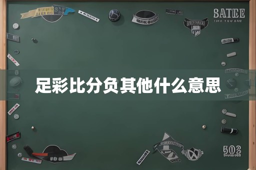 足彩比分负其他什么意思