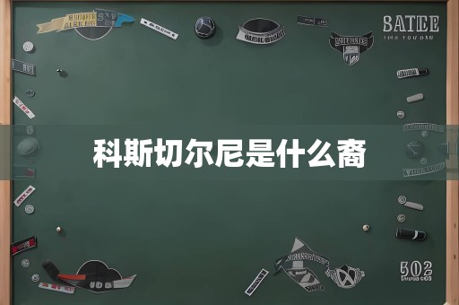 科斯切尔尼是什么裔