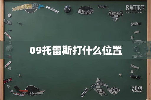 09托雷斯打什么位置