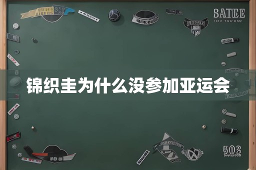 锦织圭为什么没参加亚运会