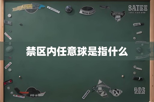 禁区内任意球是指什么