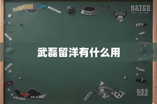 武磊留洋有什么用