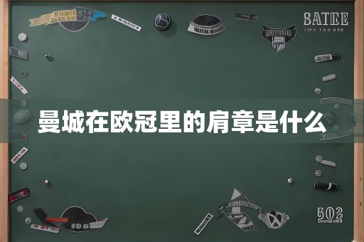 曼城在欧冠里的肩章是什么