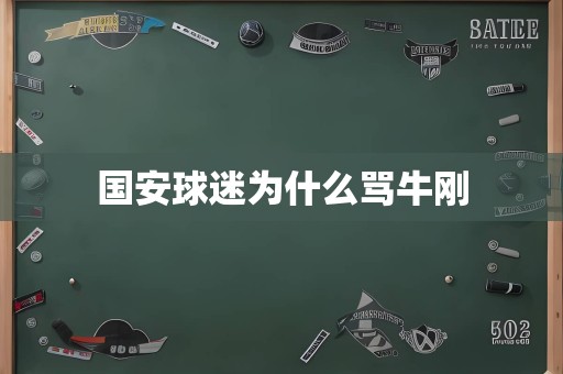 国安球迷为什么骂牛刚