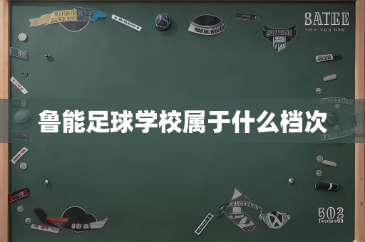 鲁能足球学校属于什么档次