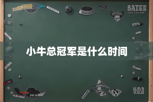 小牛总冠军是什么时间