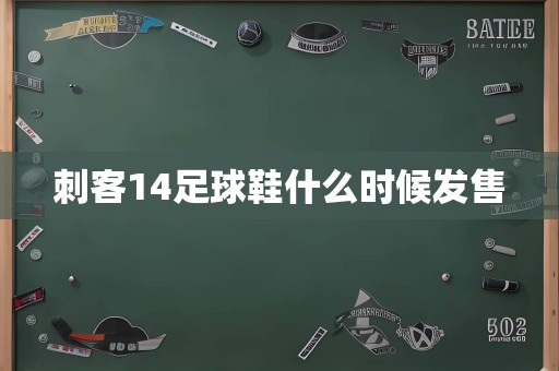 刺客14足球鞋什么时候发售