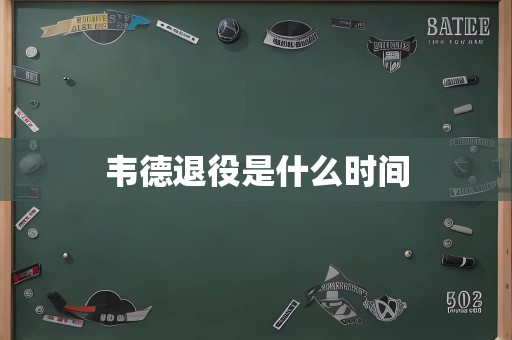 韦德退役是什么时间