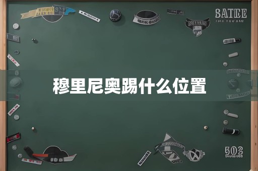 穆里尼奥踢什么位置