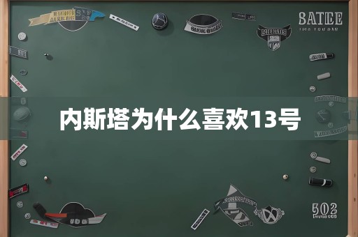 内斯塔为什么喜欢13号