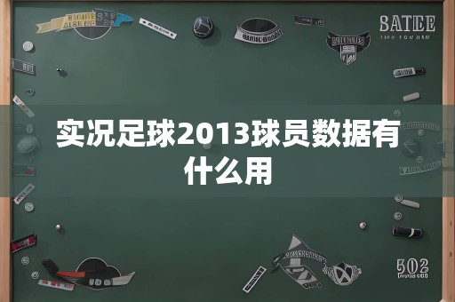 实况足球2013球员数据有什么用