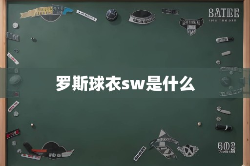 罗斯球衣sw是什么