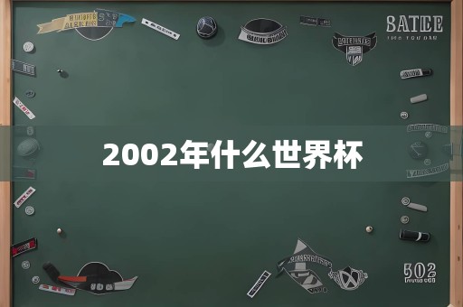 2002年什么世界杯