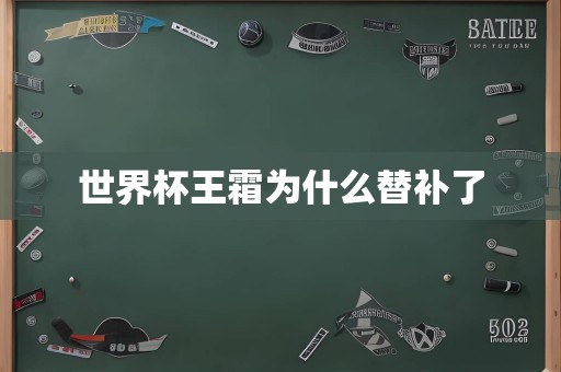 世界杯王霜为什么替补了