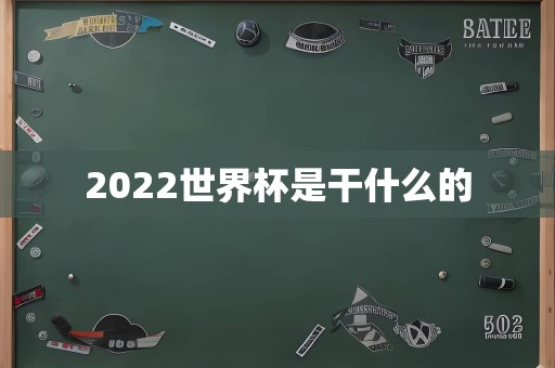 2022世界杯是干什么的