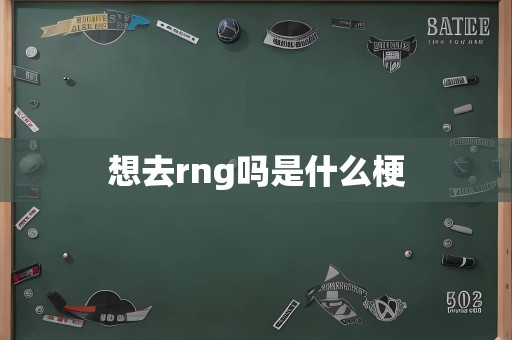 想去rng吗是什么梗