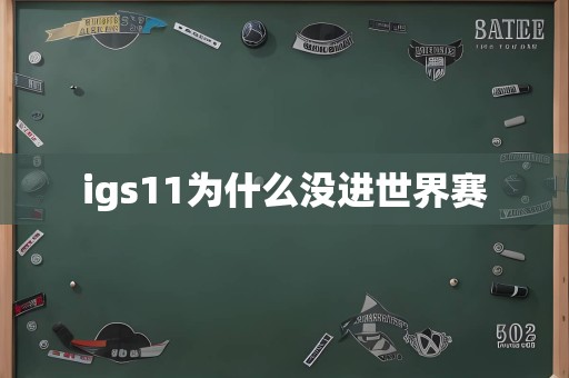 igs11为什么没进世界赛