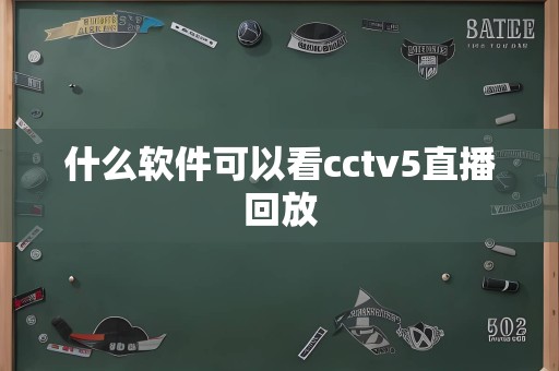 什么软件可以看cctv5直播回放