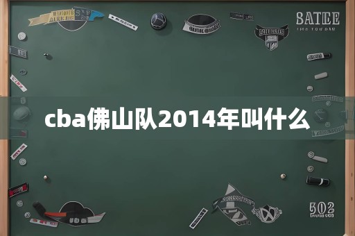 cba佛山队2014年叫什么