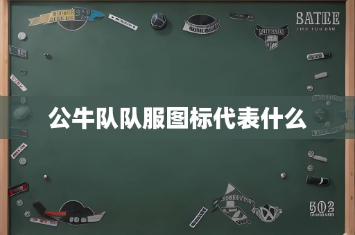 公牛队队服图标代表什么