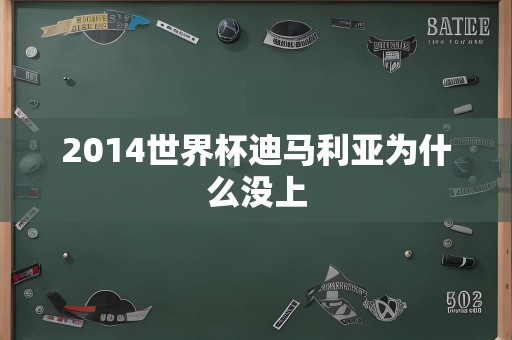 2014世界杯迪马利亚为什么没上