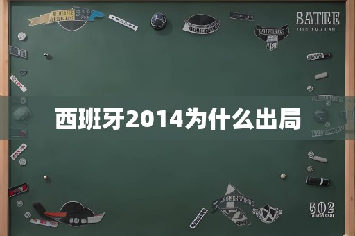 西班牙2014为什么出局