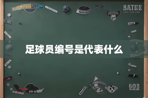 足球员编号是代表什么