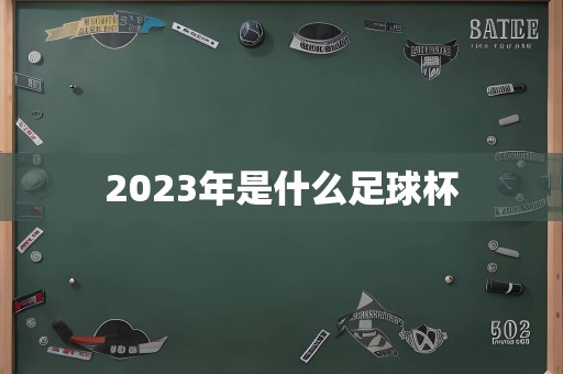 2023年是什么足球杯