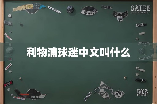 利物浦球迷中文叫什么