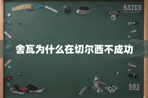 舍瓦为什么在切尔西不成功