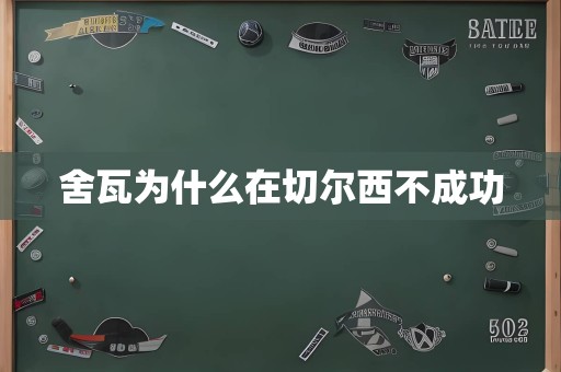 舍瓦为什么在切尔西不成功