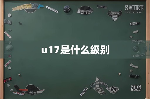 u17是什么级别