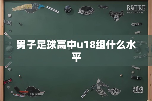 男子足球高中u18组什么水平