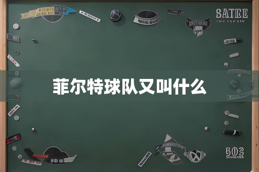 菲尔特球队又叫什么