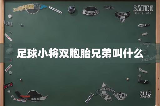 足球小将双胞胎兄弟叫什么