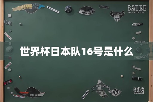 世界杯日本队16号是什么