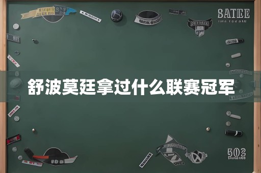 舒波莫廷拿过什么联赛冠军