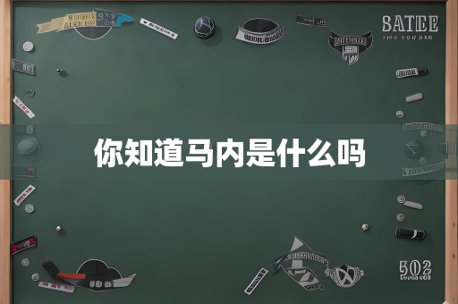 你知道马内是什么吗