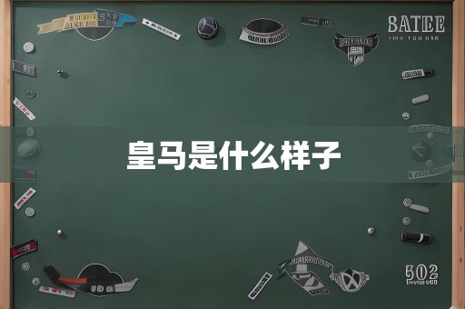 皇马是什么样子