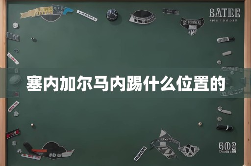 塞内加尔马内踢什么位置的