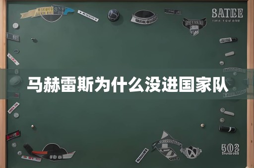 马赫雷斯为什么没进国家队