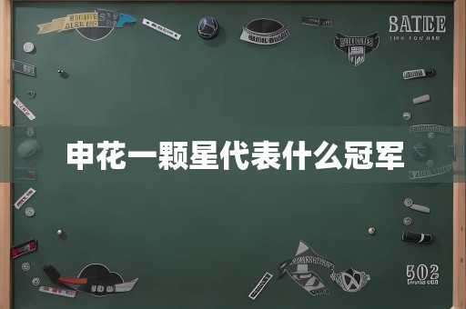 申花一颗星代表什么冠军