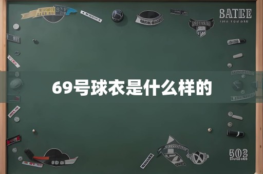 69号球衣是什么样的