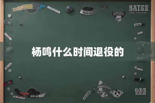 杨鸣什么时间退役的