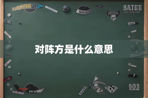 对阵方是什么意思