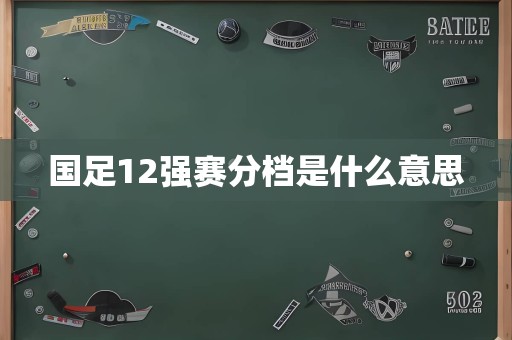 国足12强赛分档是什么意思