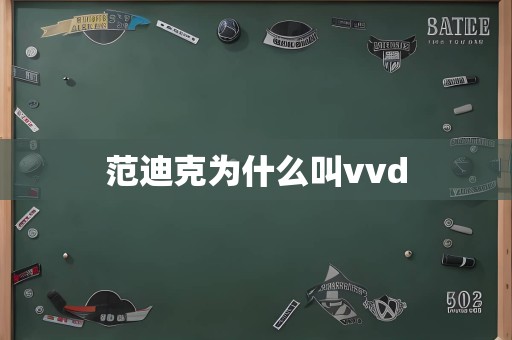 范迪克为什么叫vvd