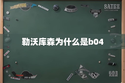 勒沃库森为什么是b04