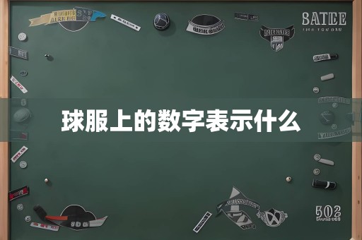 球服上的数字表示什么