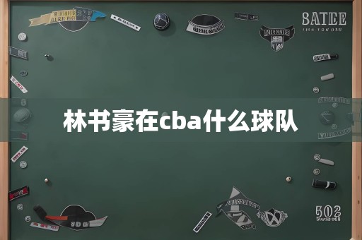 林书豪在cba什么球队